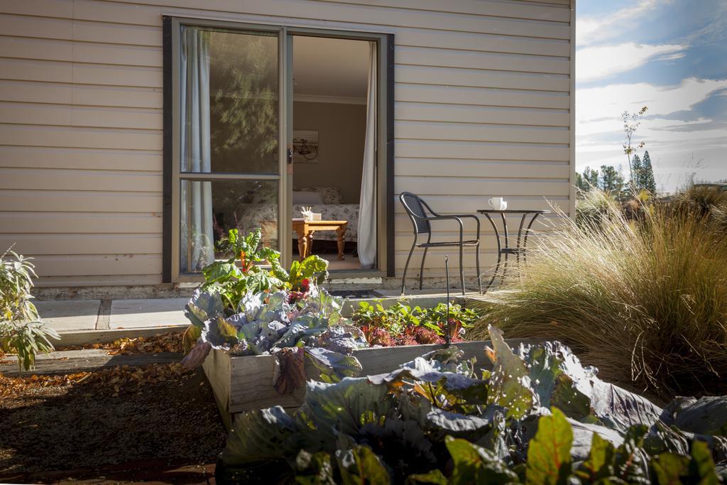 Trout 'N' Trail B&B Ranfurly Ruang foto